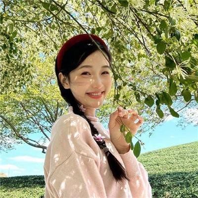 群芳灿烂